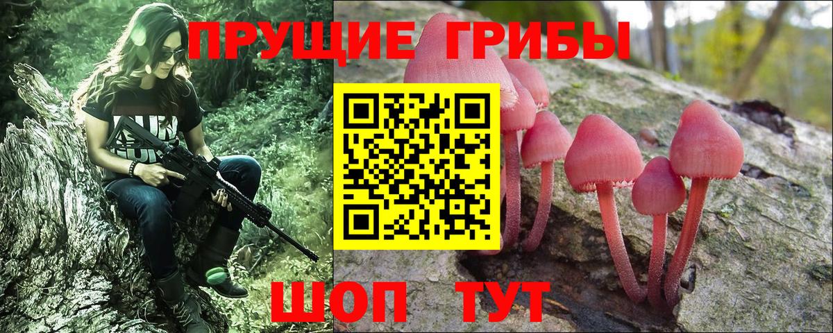 закладки  Вход с VPN  Алексеевка  Галлюциногенные грибы прущие грибы  Псилоцибиновые грибы Psilocybe 